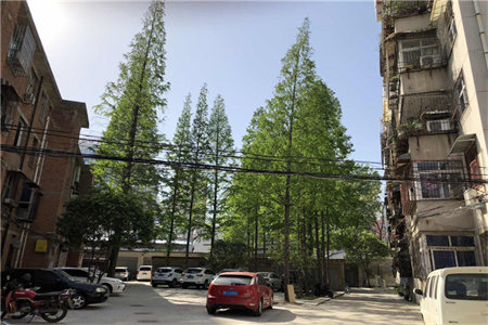 李家巷53号院2室2厅1卫35万61m2精装出售